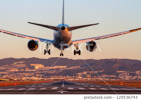 The rear of a passenger plane just before landing at an airport early in the morning The rear of a passenger plane just before landing at an airport early in the morning 129536743