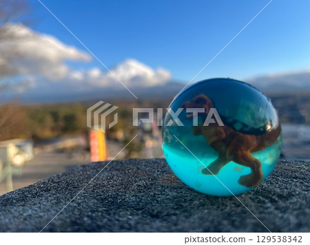 A globe seen through a crystal A globe seen through a crystal 129538342