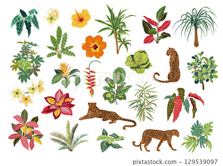Vector set of wild animals, tropical plants and flowers, leopards. Vector set of wild animals, tropical plants and flowers, leopards. 129539097
