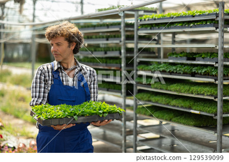 Man garden store worker with seedlings in her hands 129539099