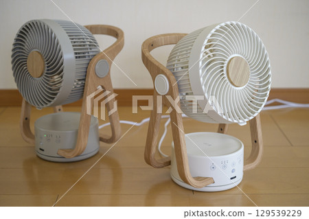 circulator 129539229