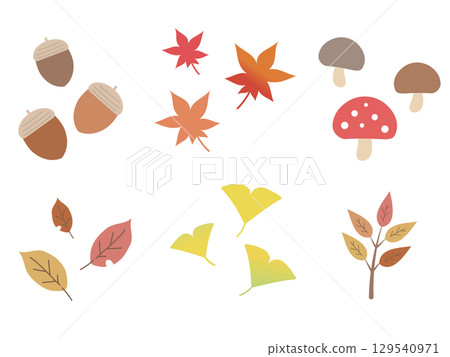 Autumn leaves and nuts set Autumn leaves and nuts set 129540971
