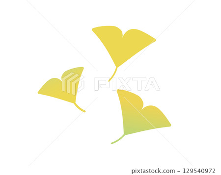 Illustration of ginkgo Illustration of ginkgo 129540972