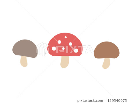 Mushroom illustration Mushroom illustration 129540975