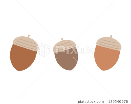 Acorn illustrations Acorn illustrations 129540976