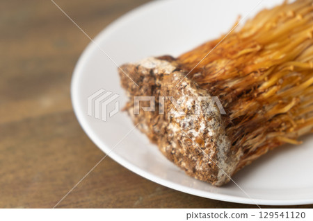 Image of Chaenoki mushrooms (stock photo) 129541120