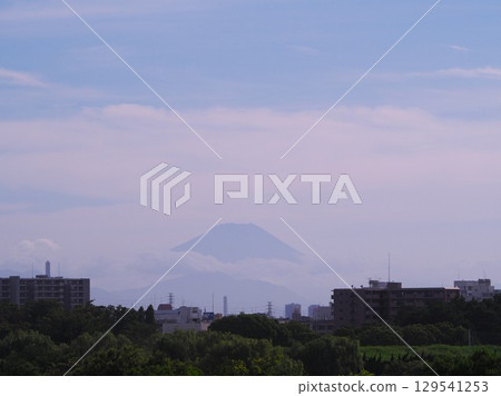夏季從川口市荒川河岸眺望的富士山 夏季從川口市荒川河岸眺望的富士山 129541253