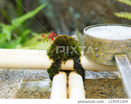 Moss and ladle 129541304