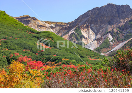Autumn leaves viewed from the Tokachidake hiking trail in Kamifurano, Hokkaido [September] 129541399