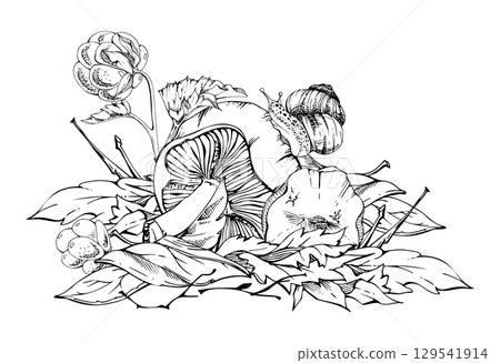 Lactarius milk-cap russula mushrooms, snail on cap, cloudberry on top of dried autumn leaves pile. Fungi natural illustration hand drawn in vector ink. Forest harvest. Herbarium, foraging journals 129541914