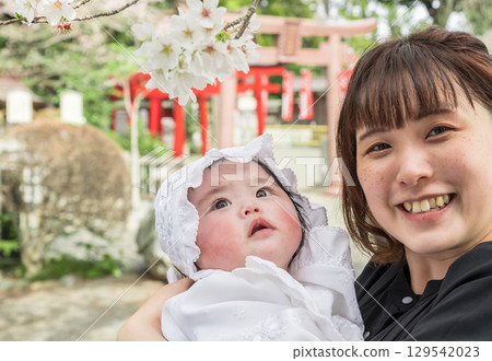 [媽媽與寶寶參拜神社欣賞櫻花] 129542023