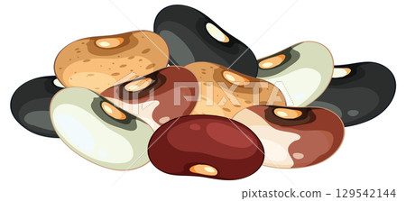 Assorted Mixed Beans Vector Illustration on White Background Assorted Mixed Beans Vector Illustration on White Background 129542144
