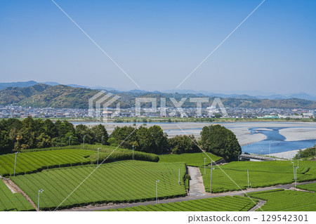 島田市中條影秋雕像公園週邊風景（靜岡縣） 129542301