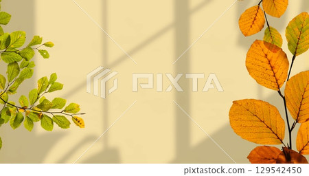 Image of leaves on branches over shadows on beige wall Image of leaves on branches over shadows on beige wall 129542450