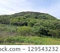 Overgrown mountain, mountain, hill 129543232