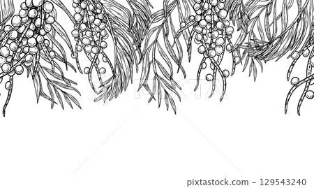 Hand drawn horizontal repeat of tropical acai clusters and palm fronds in black white vector illustration isolated. Seamless border of acai plants for organic packaging, juice labels, food branding. 129543240