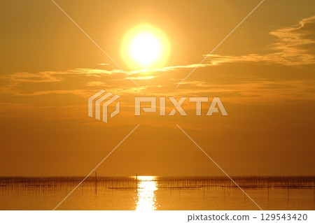 Omuta City Ariake Sea Nori field, Omuta City Ariake Sea Nori field, 129543420