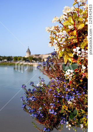 Floral decoration at the entrance to the city 129543483
