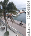 View of the harbor from Harbor View Park 129543596