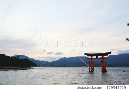 Torii gate in Miyajima, Hiroshima Prefecture 129543929