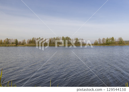 Trees growing on the riverbank in muddy water, a large lake in cloudy weather in the autumn season with waves on the water 129544138