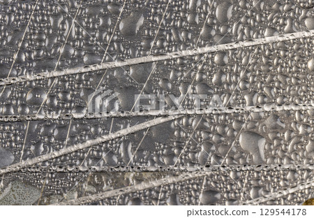 a wet blade for a knife closeup, a sharp blade for a knife for repair work covered with water drops 129544178