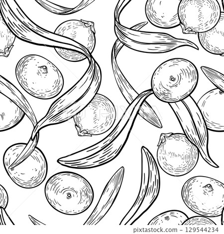 Acai berries and palm leaves black white vector seamless pattern isolated on white. Superfood tropical small purple berries in foliage hand drawn ink background for packaging, textile, wrapping. Acai berries and palm leaves black white vector seamless pattern isolated on white. Superfood tropical small purple berries in foliage hand drawn ink background for packaging, textile, wrapping. 129544234