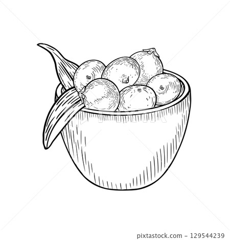 Bowl of acai berries black white vector illustration isolated on white. Fresh small tropical berries, palm leaves in deep plate outline hand drawn. Superfood for packaging, product label. Bowl of acai berries black white vector illustration isolated on white. Fresh small tropical berries, palm leaves in deep plate outline hand drawn. Superfood for packaging, product label. 129544239