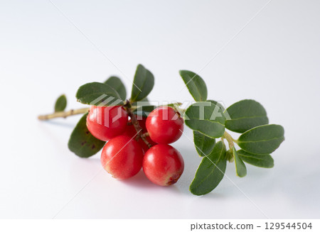 Red ripe lingonberry (cowberry) with leaves on white background. Red ripe lingonberry (cowberry) with leaves on white background. 129544504