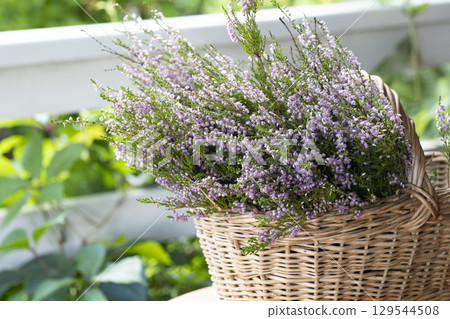 Pink wild heather in a basket Pink wild heather in a basket 129544508