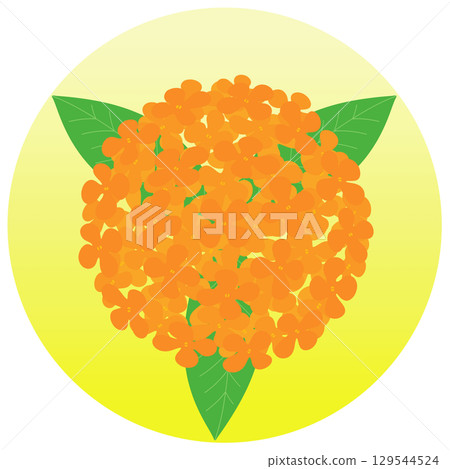 Colorful illustration of osmanthus Colorful illustration of osmanthus 129544524