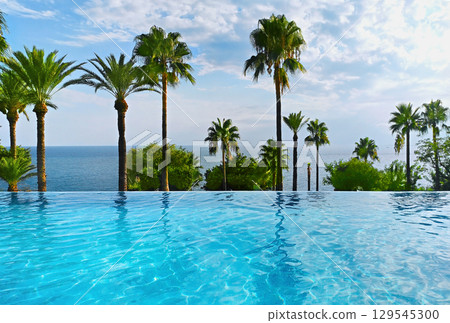 Luxurious Infinity Pool surrounded by palms and ocean view 129545300