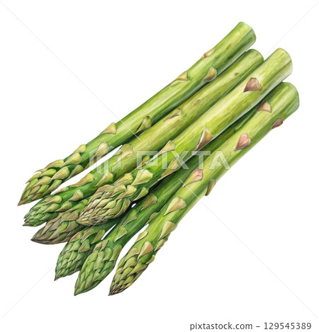 Watercolor Vegetables Clipart White Background 129545389