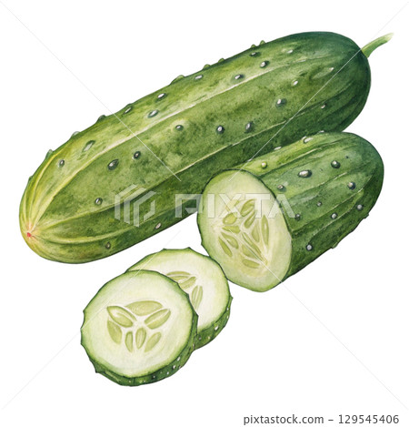 Watercolor Vegetables Clipart White Background Watercolor Vegetables Clipart White Background 129545406