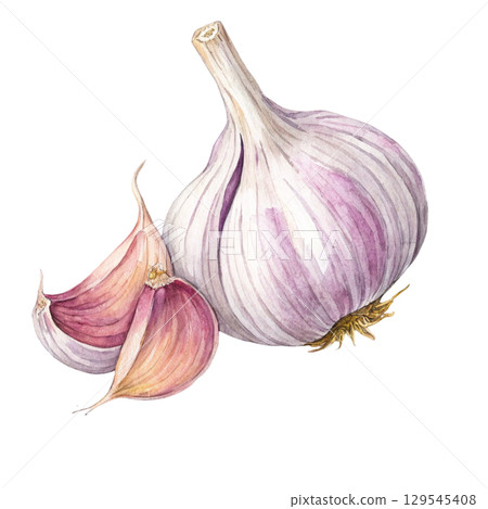 Watercolor Vegetables Clipart White Background Watercolor Vegetables Clipart White Background 129545408