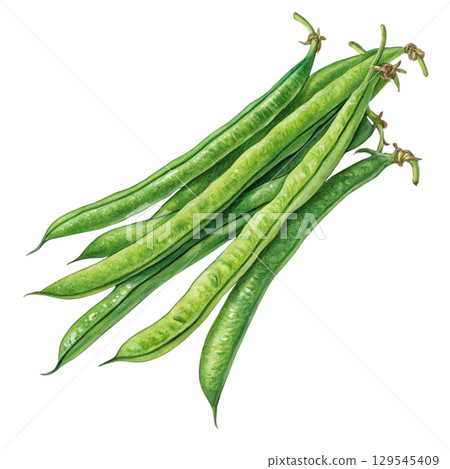 Watercolor Vegetables Clipart White Background 129545409
