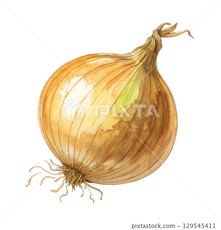 Watercolor Vegetables Clipart White Background 129545411