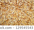 Rich harvest in the form of oat grains close-up 129545543
