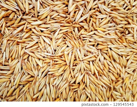 Rich harvest in the form of oat grains close-up 129545543