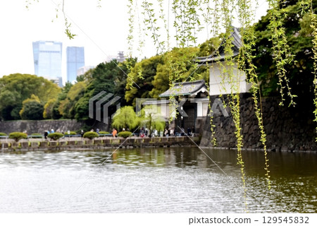 Chiyoda Ward: The inner moat of the Imperial Palace, Otemon Bridge, Otemon Gate, and the fresh greenery of willow trees Chiyoda Ward: The inner moat of the Imperial Palace, Otemon Bridge, Otemon Gate, and the fresh greenery of willow trees 129545832