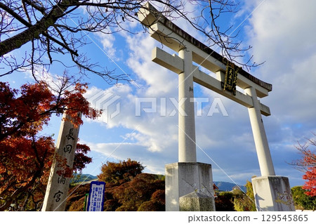 Nagaoka Tenmangu Shrine (Nagaoka Tenjin) with its large torii gate and autumn leaves, Nagaokakyo City, Kyoto Prefecture 129545865