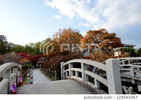 從京都府長岡京市長岡天滿宮（長岡天神）八丈池上的古老拱橋上看到的秋葉景色 129545867