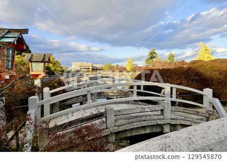 A view of autumn leaves seen from the old arched bridge over Hachijogaike Pond at Nagaoka Tenmangu Shrine (Nagaoka Tenjin), Nagaokakyo City, Kyoto Prefecture 129545870