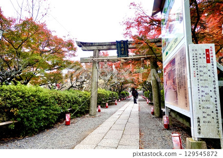 Autumn leaves shining beside the torii gate of Nagaoka Tenmangu Shrine (Nagaoka Tenjin), Nagaokakyo City, Kyoto Prefecture Autumn leaves shining beside the torii gate of Nagaoka Tenmangu Shrine (Nagaoka Tenjin), Nagaokakyo City, Kyoto Prefecture 129545872