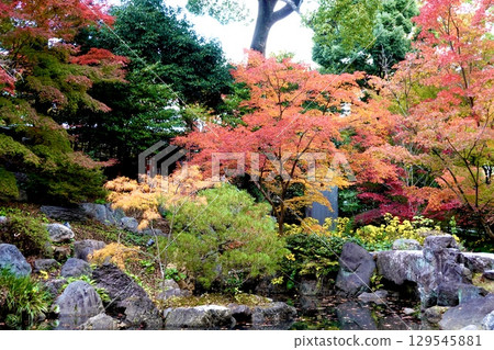 京都府長岡京市長岡天滿宮錦溪園的秋葉絢麗多彩。 129545881