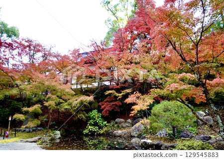 The autumn foliage at Kinkeien Garden of Nagaoka Tenmangu Shrine (Nagaoka Tenjin) in Nagaokakyo City, Kyoto Prefecture The autumn foliage at Kinkeien Garden of Nagaoka Tenmangu Shrine (Nagaoka Tenjin) in Nagaokakyo City, Kyoto Prefecture 129545883