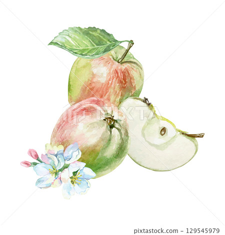 Apples watercolor. Juicy and fresh whole fruits with green leaf, slice and flowers. Hand drawn clip art isolated for food, cosmetic packaging and menu design. Poster for holiday and harvest festival. 129545979