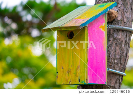 Colorful bird house hanging on a tree. Colorful bird house hanging on a tree. 129546016