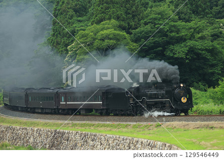 SL 山口 D51 2294- SL 山口 D51 2294- 129546449