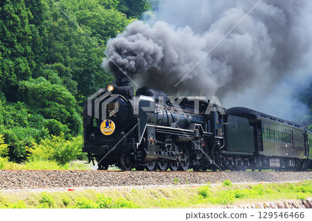 SL Yamaguchi D51 9890 129546466